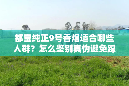 都宝纯正9号香烟适合哪些人群？怎么鉴别真伪避免踩坑？